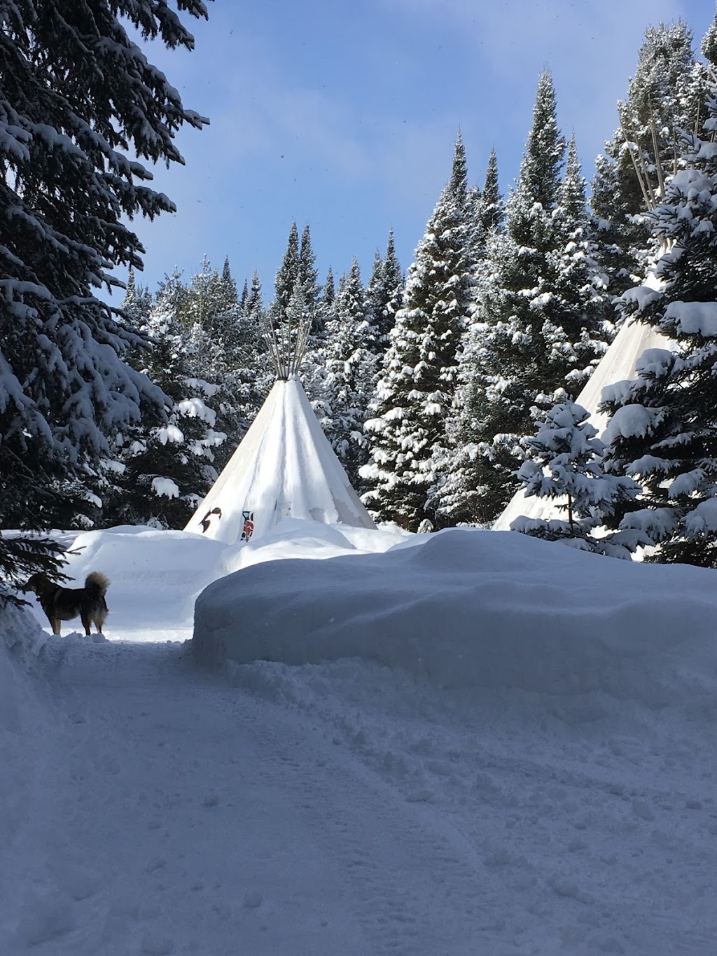 Tipi Adventures - Simply Fit and Fun! | 1345 Beatrice Townline Rd, Bracebridge, ON P1L 1X4, Canada | Phone: (705) 706-7125
