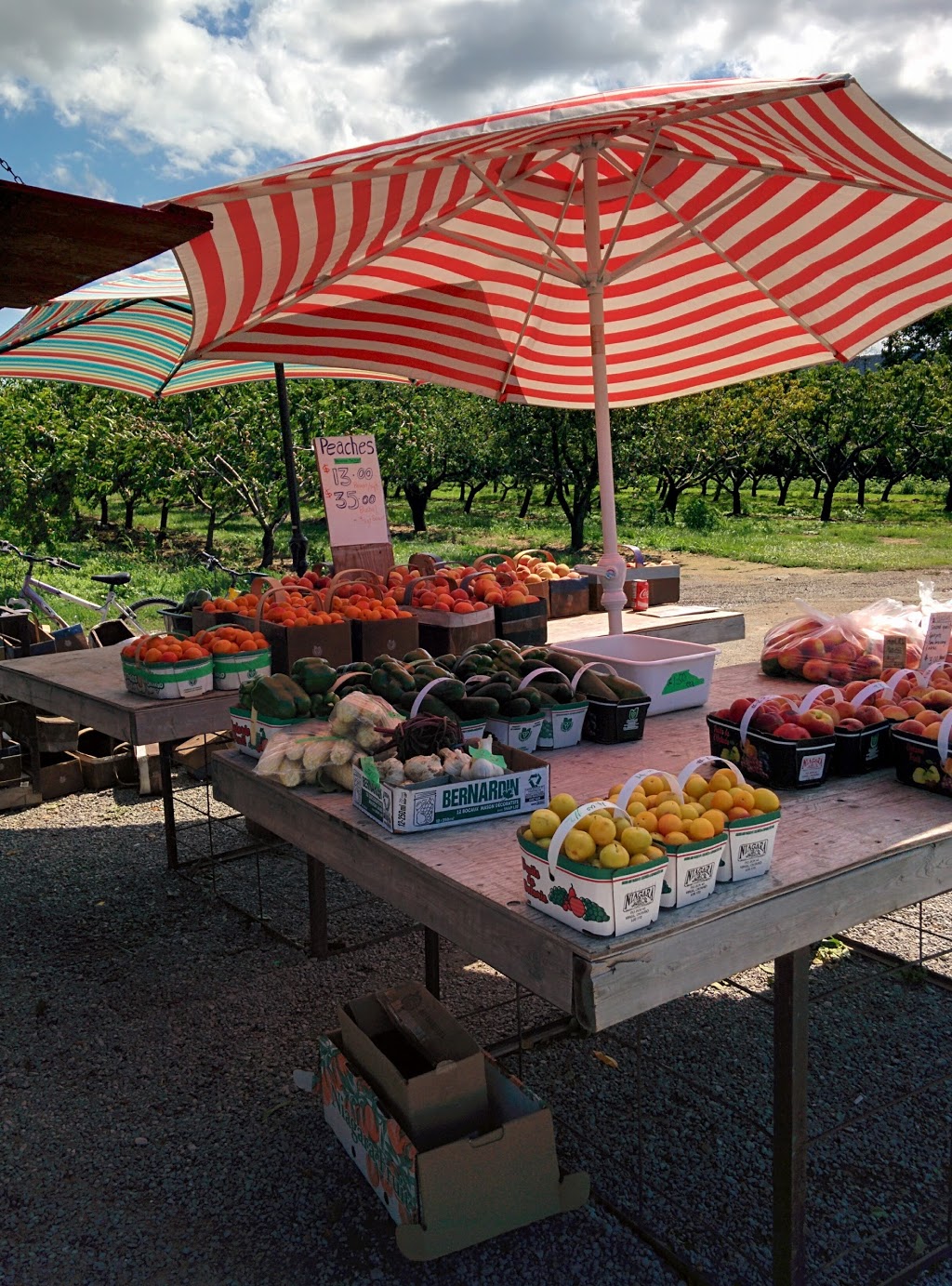 Werner Fruit Farm | store | Port Weller East, St. Catharines, ON L2R 7K6, Canada