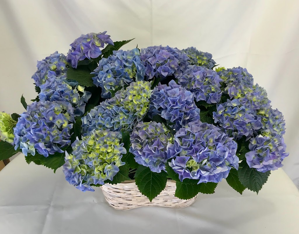 Broadway Florists Ltd | 419 Academy Rd, Winnipeg, MB R3N 0C1, Canada | Phone: (204) 775-8483