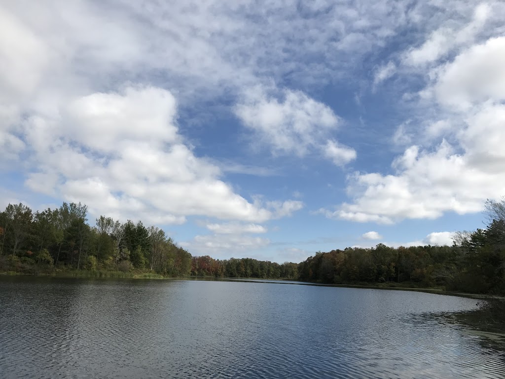 Morrison Dam Conservation Area | RR 3, 71108 Morrison Line, Exeter, ON N0M 1S5, Canada | Phone: (519) 235-2610