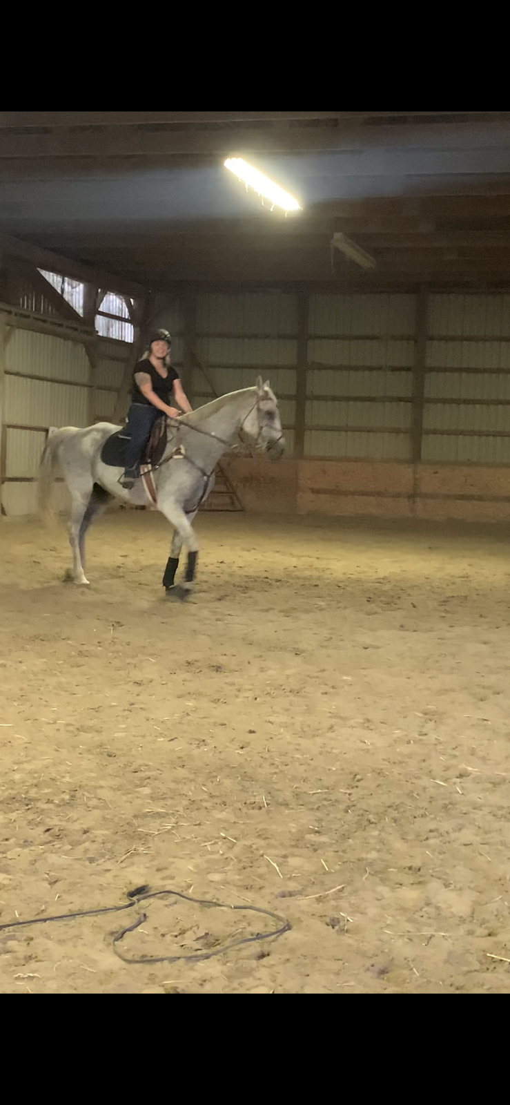 Double M Stables | 4002 ON-6, Puslinch, ON N0B 2J0, Canada | Phone: (226) 748-7682