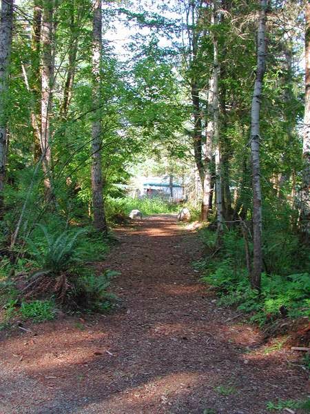 Seal Bay RV Park | 1901 Larch Rd, Courtenay, BC V9J 1X7, Canada | Phone: (250) 339-1837