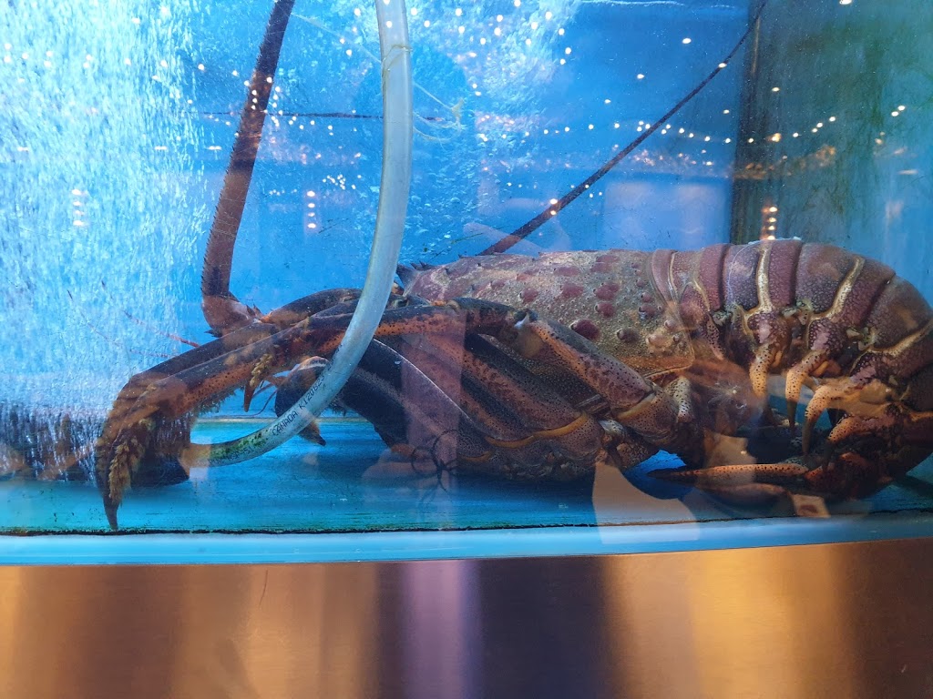 Dragon Boat Fusion Cuisine | 160 East Beaver Creek Rd #4-6, Richmond Hill, ON L4B 4A7, Canada | Phone: (905) 731-3718