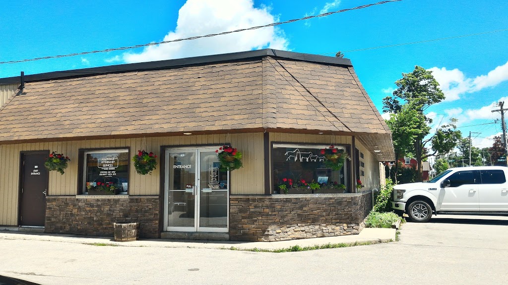 Markdale Veterinary Services | 26 Main St E, Markdale, ON N0C 1H0, Canada | Phone: (519) 986-2800