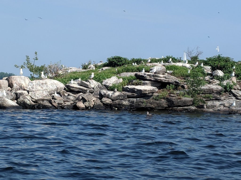 Eleanor Island Bird Sanctuary | Torrance, ON P0C 1M0, Canada
