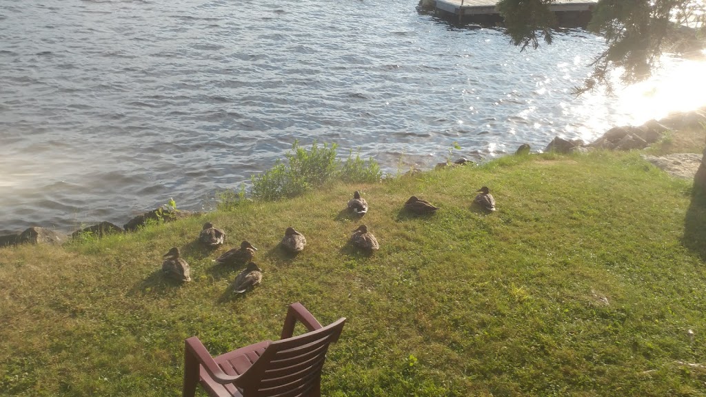 Manor Park Cottages | Burks Falls, ON P0A 1C0, Canada | Phone: (905) 348-2697