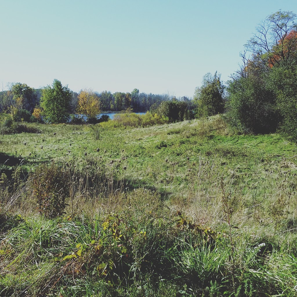 Celebration Forest | 944 Western Counties Road, London, ON N6C 5J1, Canada | Phone: (519) 936-9548