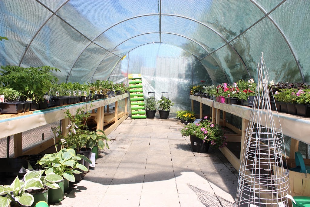 Sunderland Landscape Supplies | 53 Albert St N, Sunderland, ON L0C 1H0, Canada | Phone: (705) 357-9999