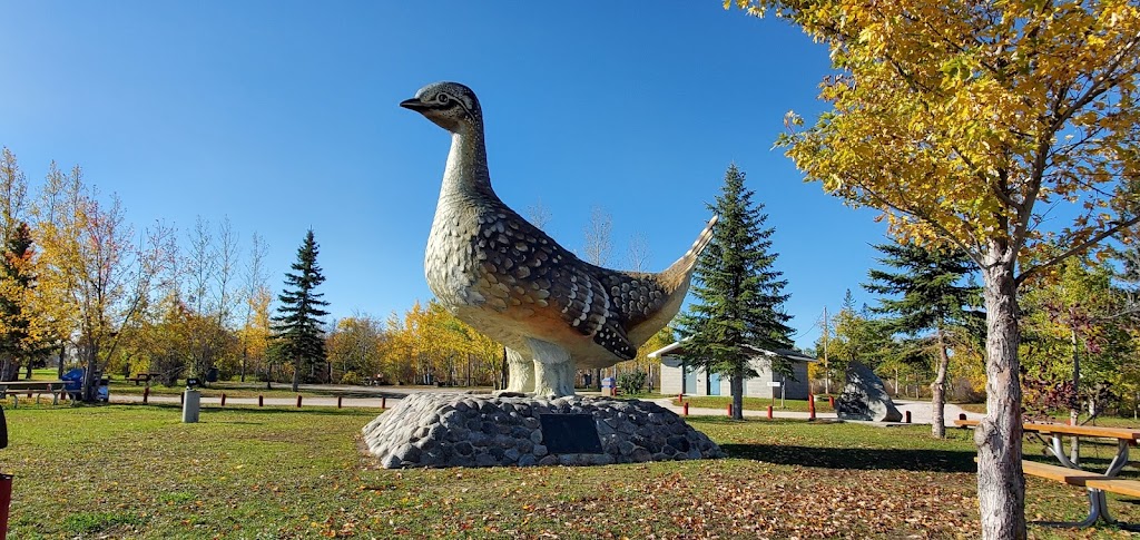 Ashern Sharptail Park | Ashern, MB R0C 0C5, Canada | Phone: (204) 927-7814