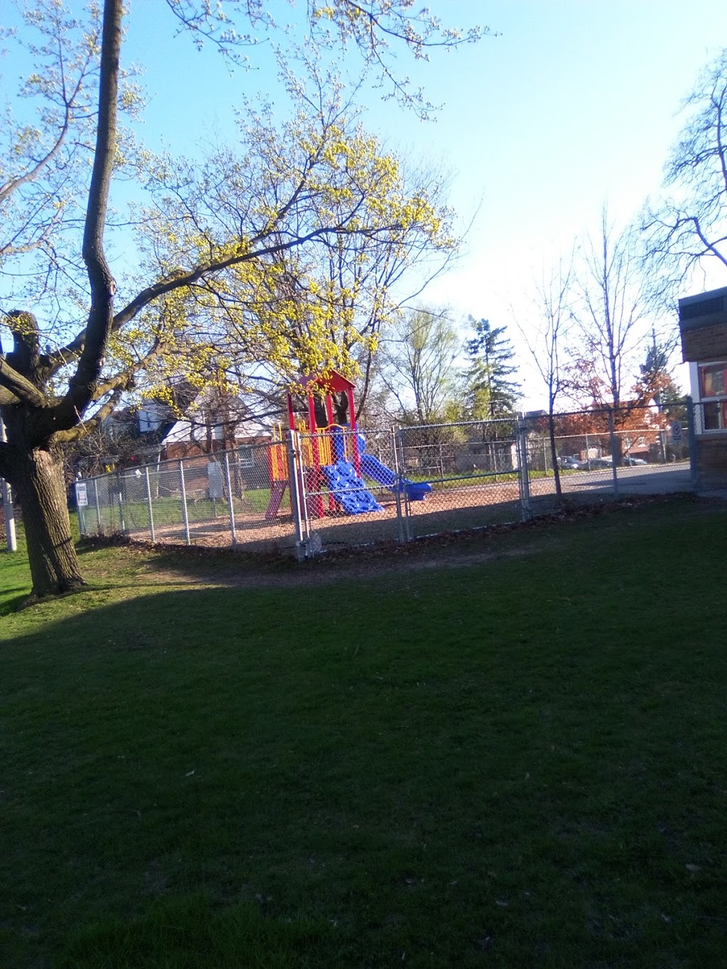Charles E Webster Public School | 1900 Keele St, York, ON M6M 3X7, Canada | Phone: (416) 394-2250
