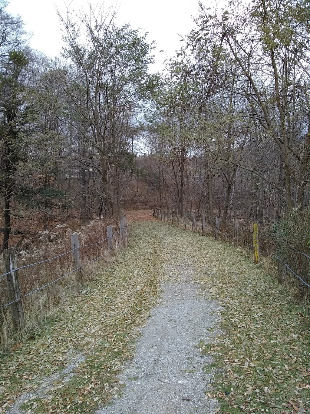 Botany Hill Park | 277 Orton Park Rd, Scarborough, ON M1G 3T4, Canada | Phone: (416) 392-2489