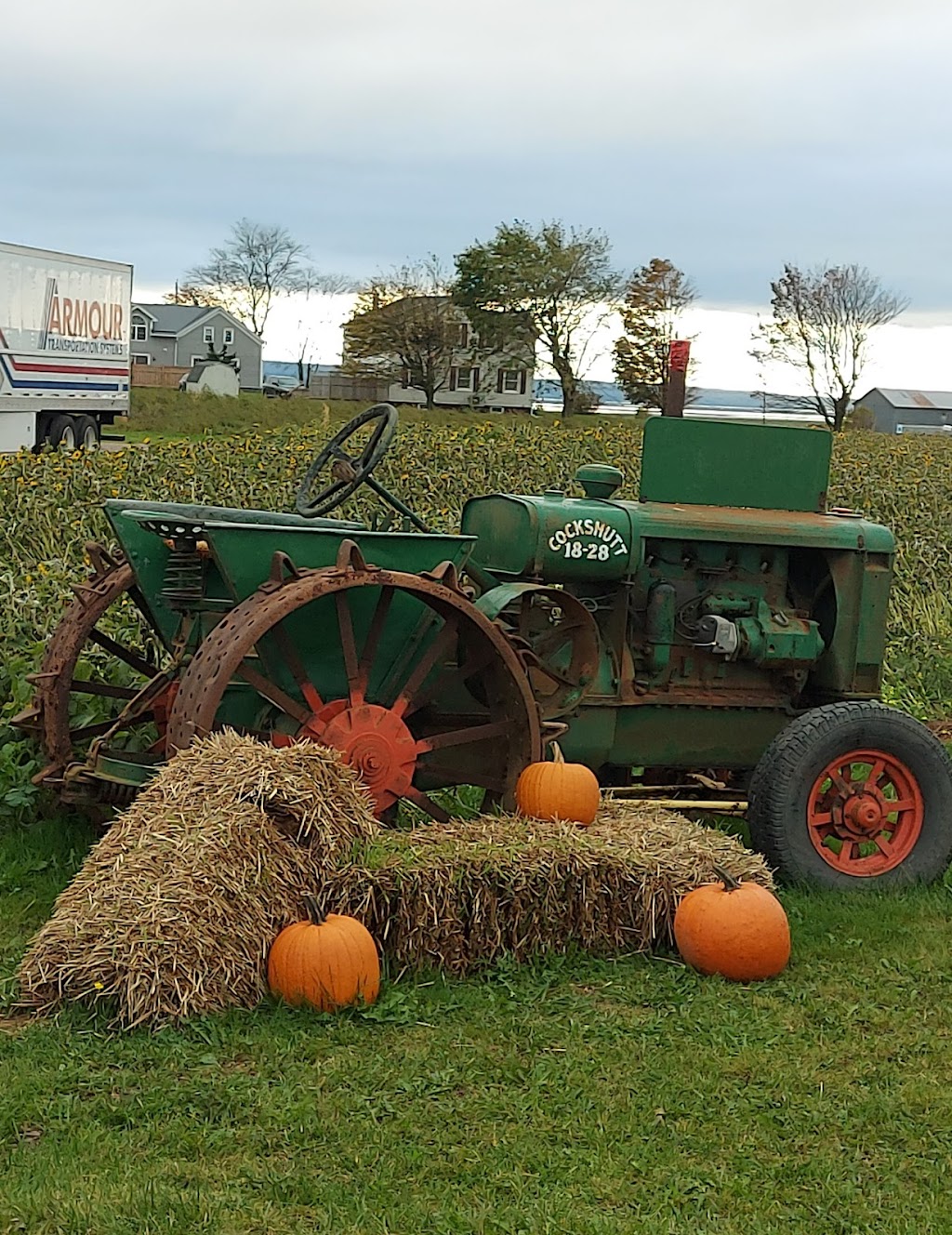 Blakes Pumpkin Jungle | 970 Shore Rd, Debert, NS B0M 1G0, Canada | Phone: (902) 890-2140