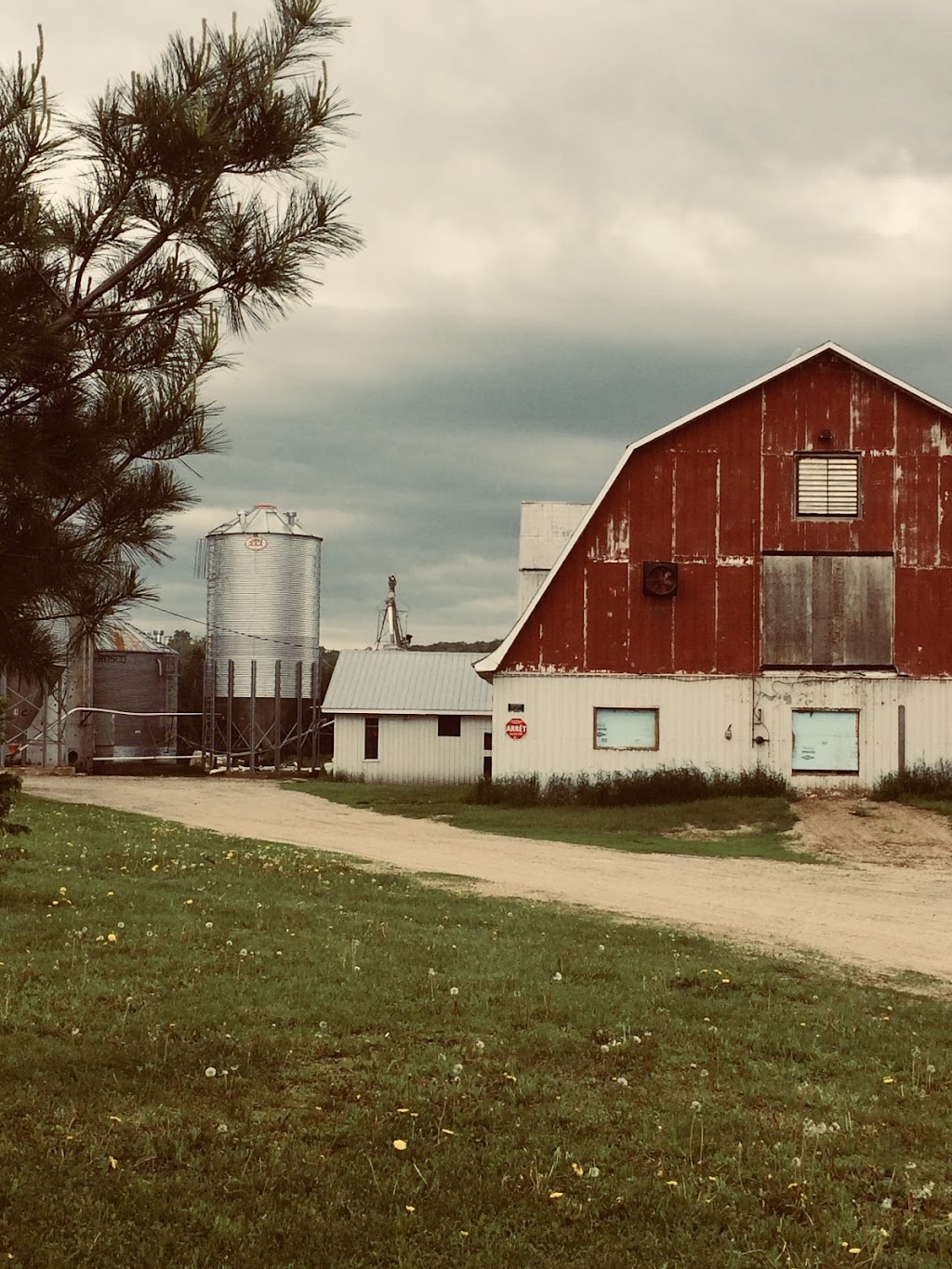 Ferme Rose Des Vents | 2443 Chem. du 5e-Rang S, Mont-Laurier, QC J9L 3G7, Canada | Phone: (819) 623-5672