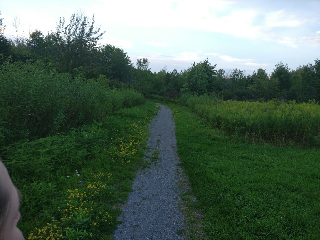 Harold S Bradshaw Memorial Park | 510-590 Chantler Rd, Welland, ON L3B 5N8, Canada