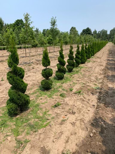 Three Generation Farms | ON-10, Mono, ON L9V 0Z6, Canada | Phone: (416) 845-5700