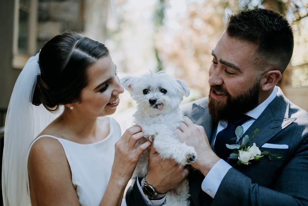 Modern Day Fairy Tales | 7 Alison Ave, La Salle, MB R0G 0A2, Canada | Phone: (204) 228-2167