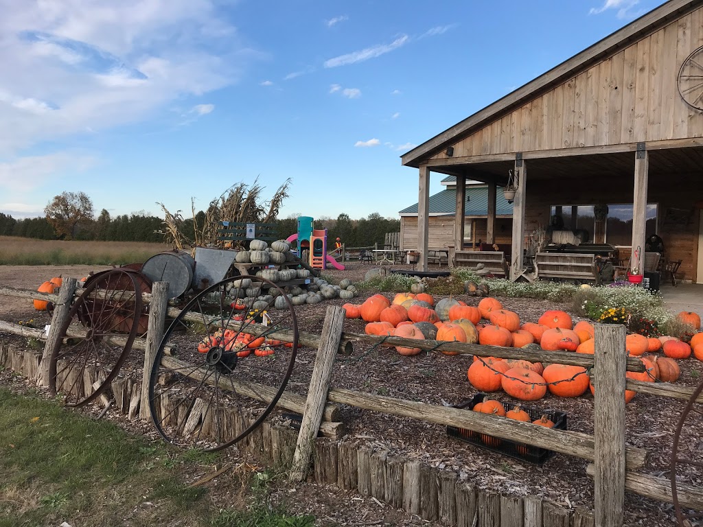 Wagon Wheel Produce & Corn Maze | 1371 Charlotteville Rd 7, Simcoe, ON N3Y 4K5, Canada | Phone: (519) 429-3443