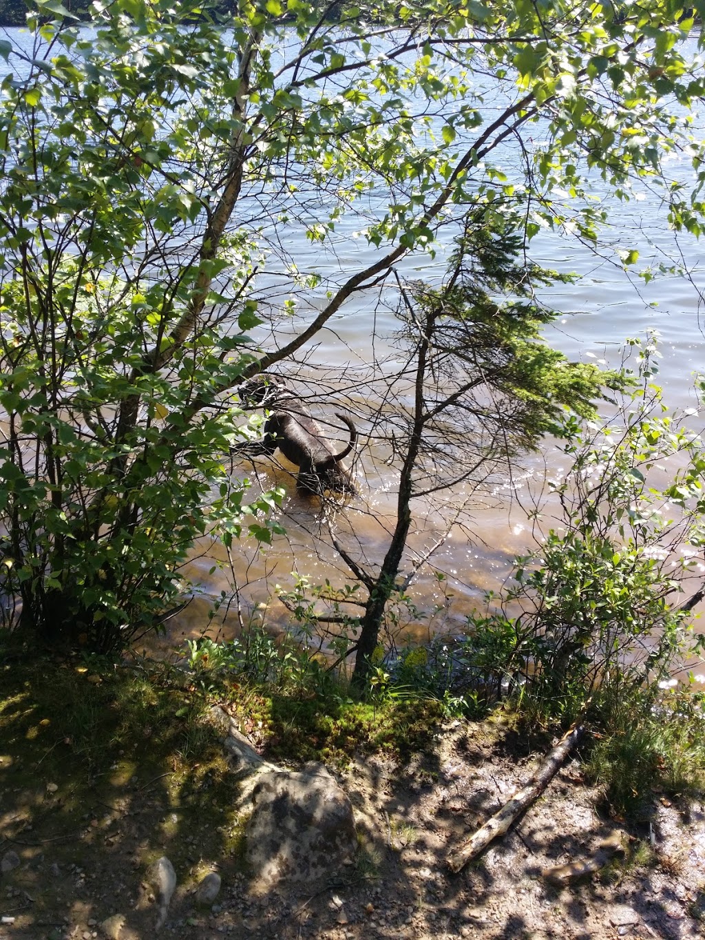 Bell Lake Park | Nantucket, Dartmouth, NS B2W, Canada