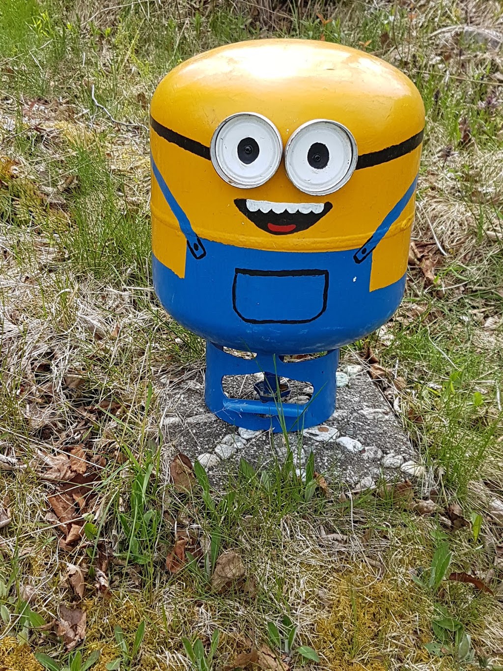 Fiddlers Green Log Tourist Cabins | 219 Main Rd, Bellevue, NL A0B 1B0, Canada | Phone: (709) 442-3333