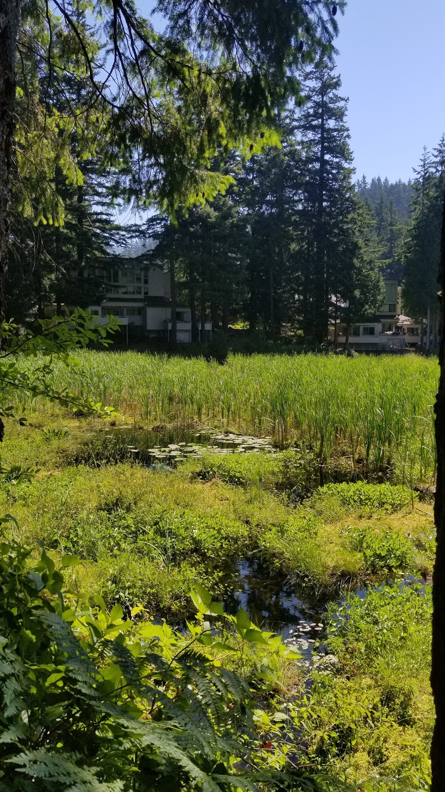 Lake Louise | 2 Marigold Dr, Bellingham, WA 98229, USA