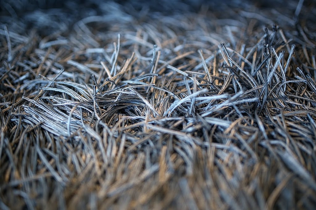 Shine Carpet Cleaning | 24141 102b Ave, Maple Ridge, BC V2W 2C5, Canada | Phone: (604) 945-7539