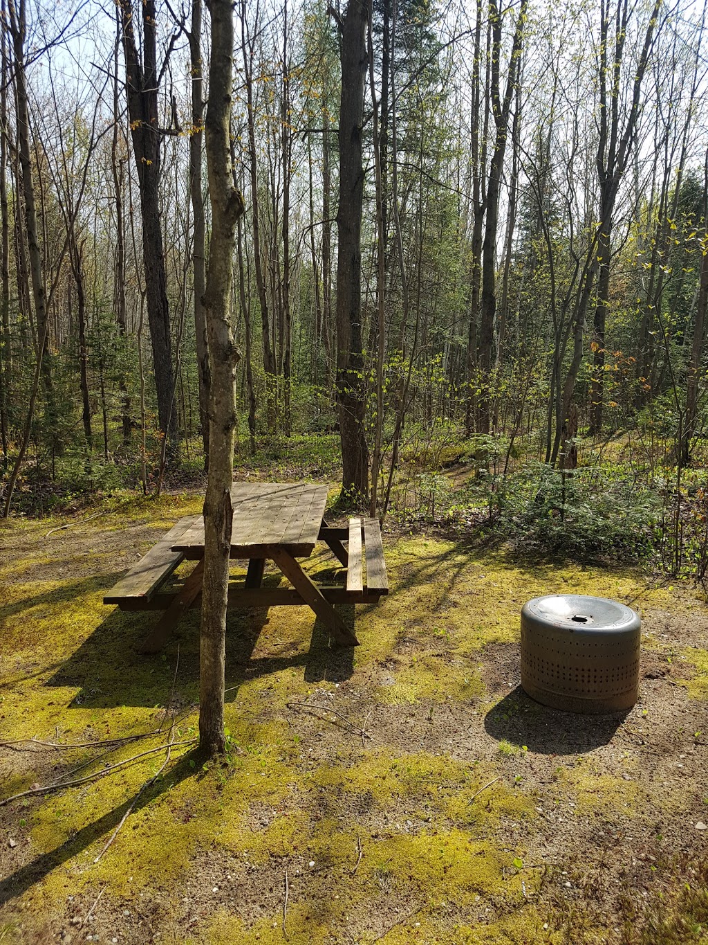 Camping Des Pins | 379 Boulevard Kingsey, Kingsey Falls, QC J0A 1B0, Canada | Phone: (819) 839-2648