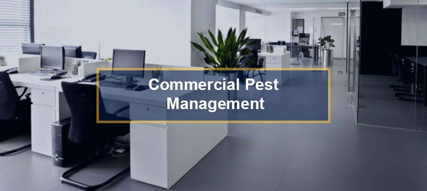 AR Pest Control Milton | 95 Locker Place, Milton, ON L9E 1E8, Canada | Phone: (855) 670-7378