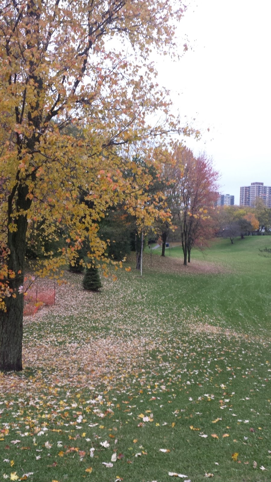 Dallington Park | North York, Toronto, ON M2J 1Y2, Canada | Phone: (416) 338-4386