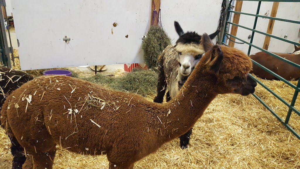 Stratford and District Agricultural Society | 357 McCarthy Rd, Stratford, ON N5A 7S7, Canada | Phone: (519) 271-5130