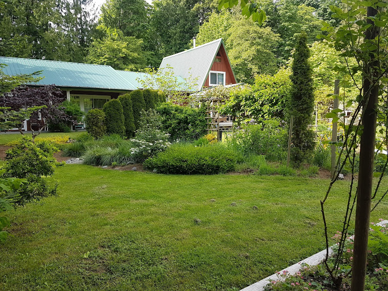 Copper Fern Guest House | 3694 Lake Trail Rd, Courtenay, BC V9N 9M9, Canada | Phone: (250) 650-7115