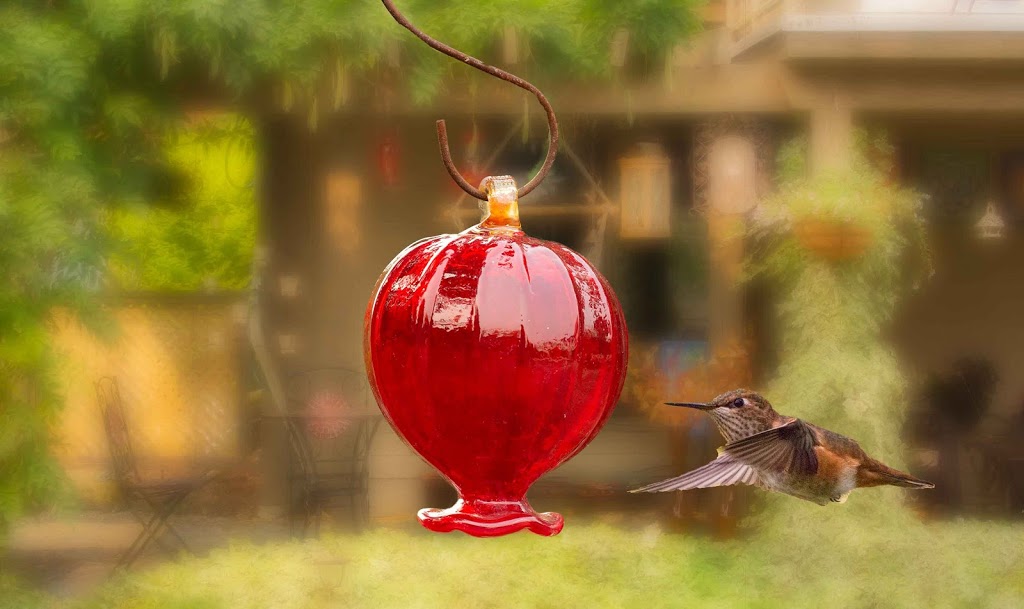 Hummingbird Haven B&B | 10849 Olsen Rd #2, Ladysmith, BC V9G 1Z8, Canada | Phone: (250) 606-7011