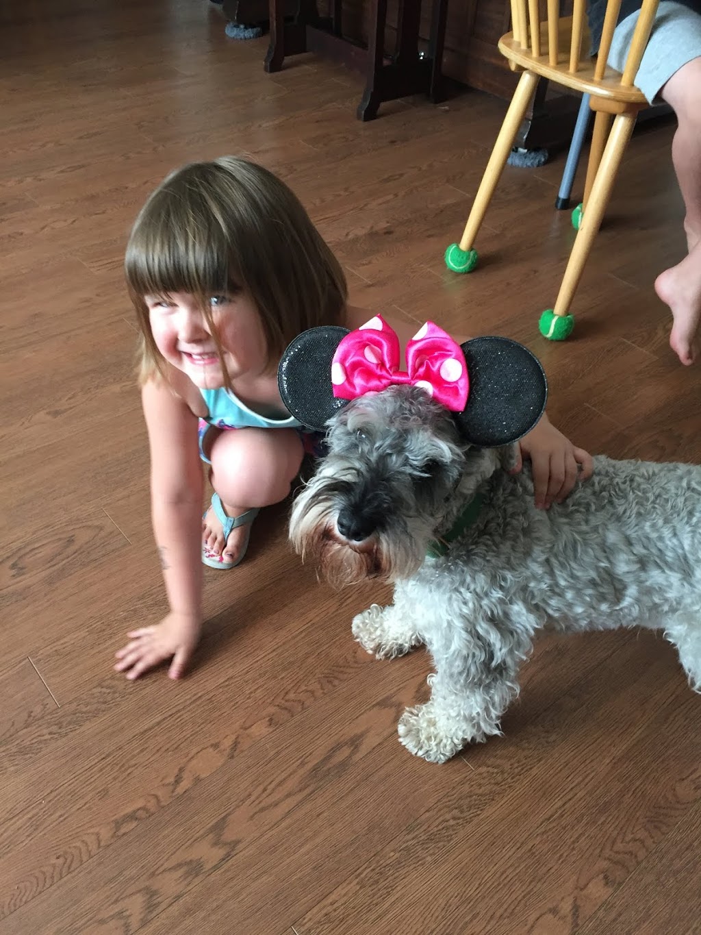 Aspen Springs Animal Hospital | 1550 Bowmanville Ave #9, Bowmanville, ON L1C 6N5, Canada | Phone: (905) 623-0020