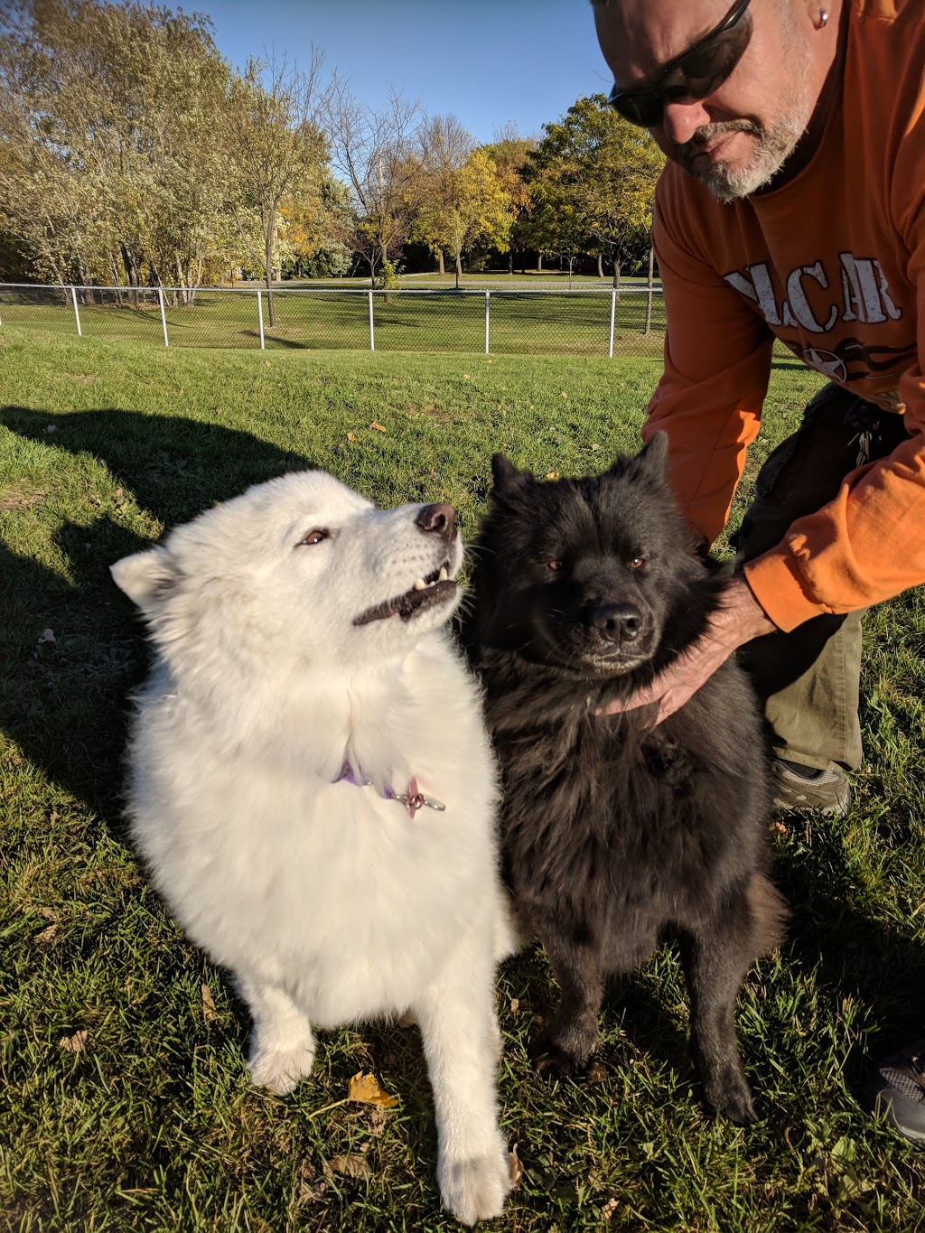 Parc récréatif canin | 450 Rue Saint-Philippe, La Prairie, QC J5R 1G9, Canada | Phone: (450) 444-6600