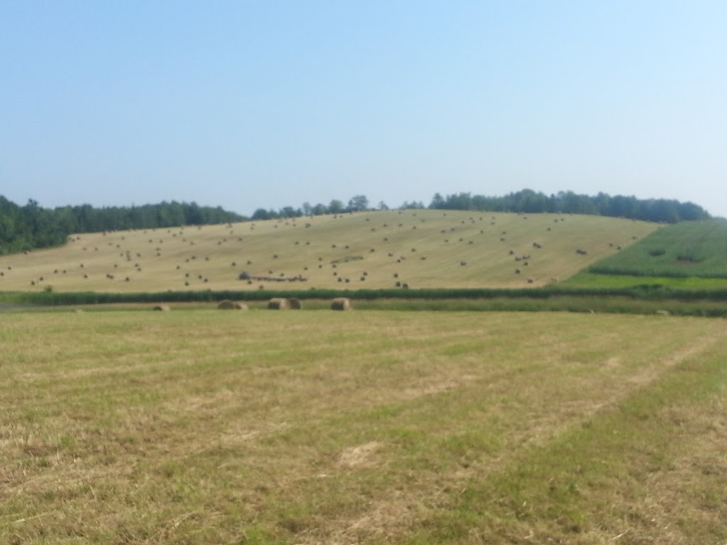 Cogmagun Poultry Processing Co. Ltd. | 760 Cogmagun Rd, Centre Burlington, NS B0N 1E0, Canada | Phone: (902) 757-3840