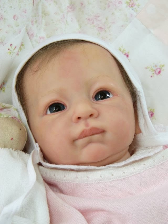 Your Reborn Dolls | 4391 Jackson St, Beamsville, ON L0R 1B6, Canada | Phone: (289) 479-5554