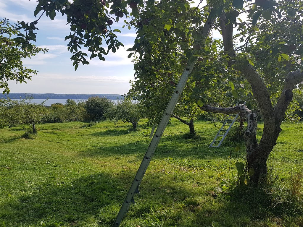 Pomme Delisle | 156 QC-138, Neuville, QC G0A 2R0, Canada | Phone: (418) 876-3745