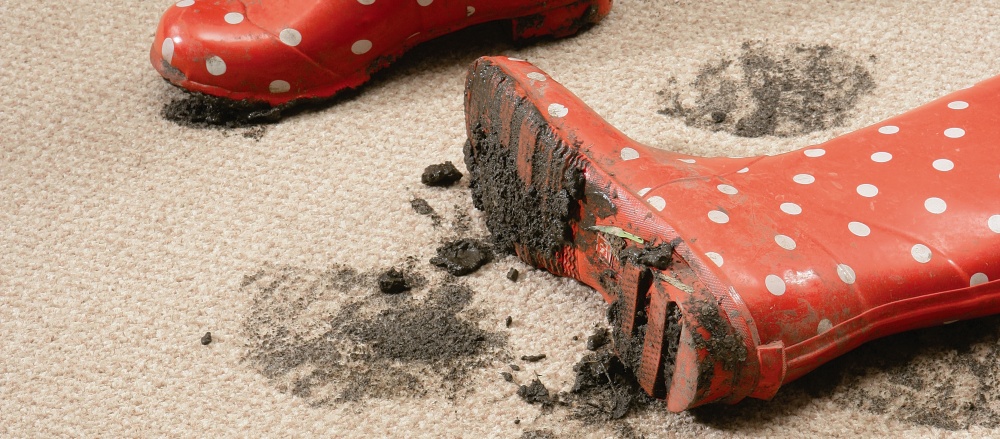 Steele Carpet Cleaning Airdrie | 147 Reunion Green NW, Airdrie, AB T4B 0M4, Canada | Phone: (587) 777-0239