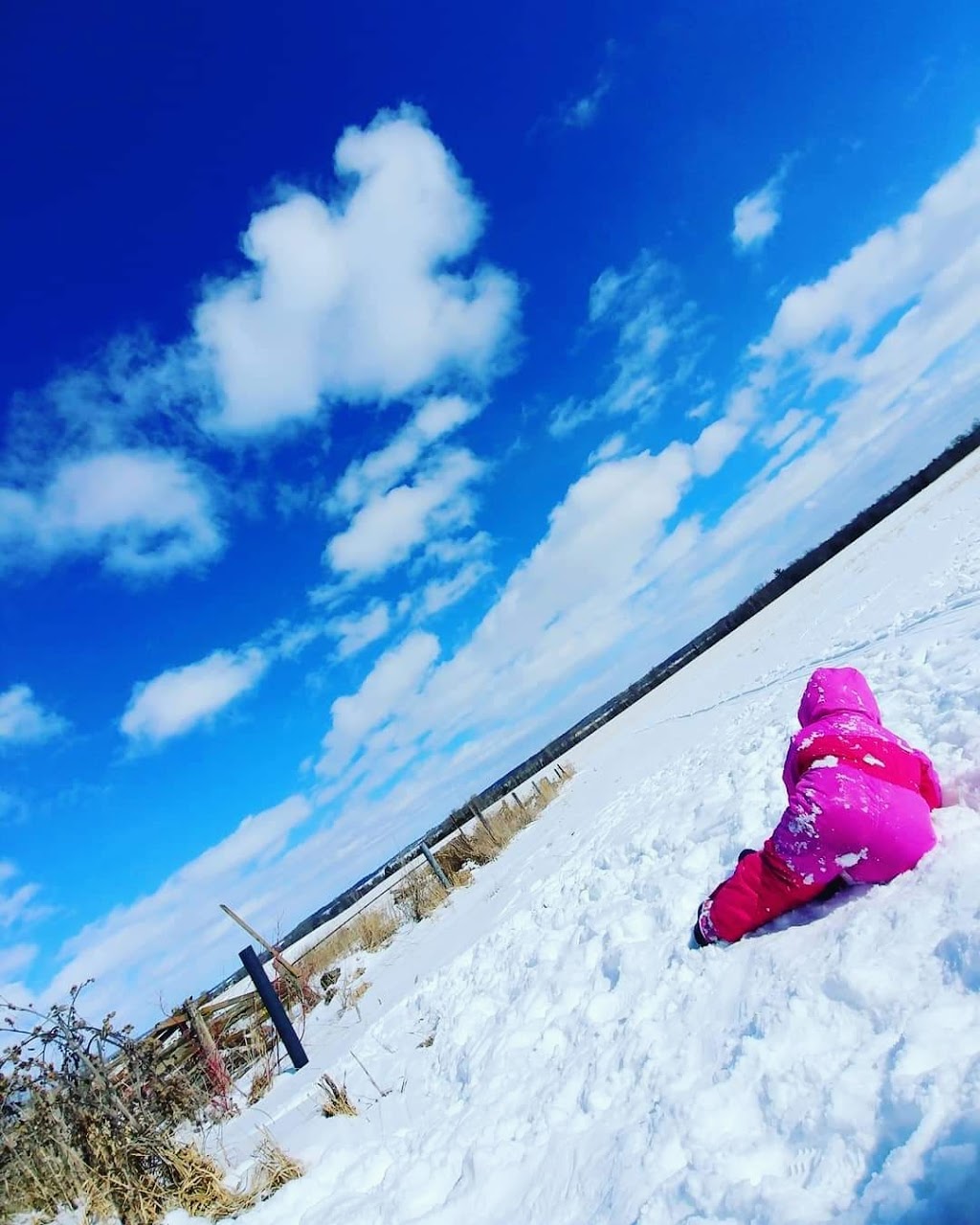Melissas In-Home Daycare | 20401 Simcoe St, Seagrave, ON L0C 1G0, Canada | Phone: (905) 999-4819