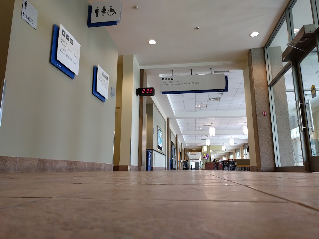 Faculty of Arts - MRU | 75 Mt Royal Cir SW, Calgary, AB T3E 0A3, Canada | Phone: (403) 440-6111