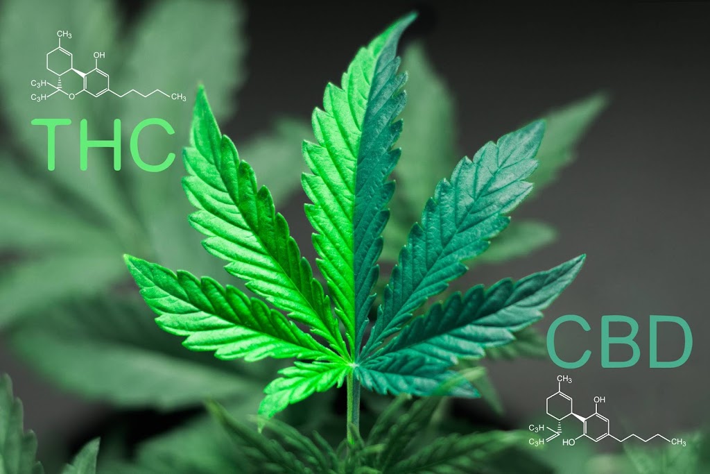 Weed Shop Online Delivery CA | London, ON N5V 0A4, Canada | Phone: (289) 809-4222