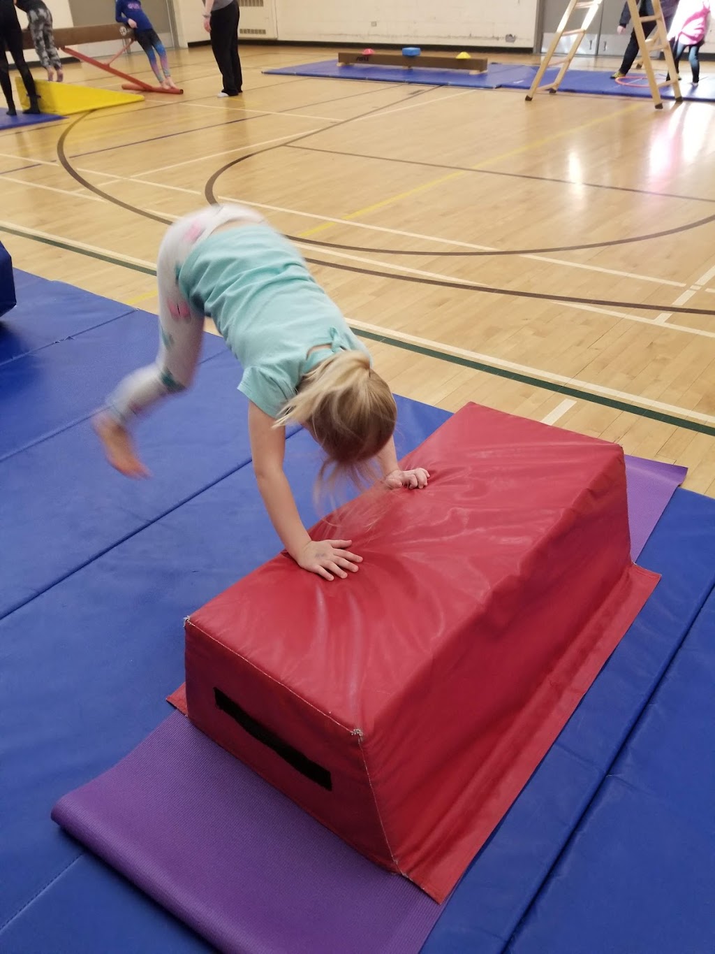 YMCA-YWCA of Winnipeg – Elmwood-Kildonan Branch | 454 Kimberly Ave, Winnipeg, MB R2K 0X8, Canada | Phone: (204) 668-8140