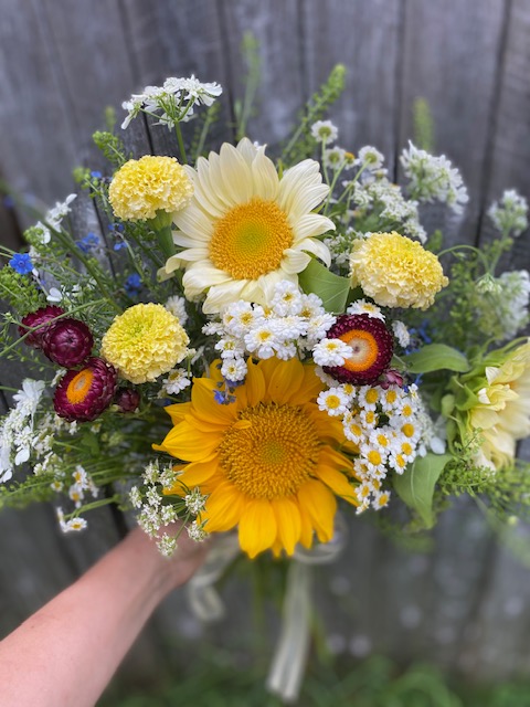 Darling ferme florale | 351 Rang Mastigouche, Mandeville, QC J0K 1L0, Canada | Phone: (514) 647-4735