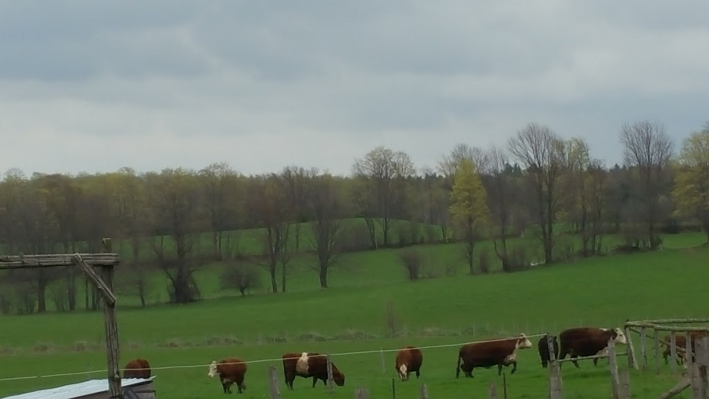 Farm Queen Foods | 316743, ON-6, Chatsworth, ON N0H 1G0, Canada | Phone: (519) 794-0471