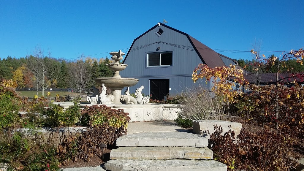 Dog Tales Rescue & Sanctuary | 1405 19th Sideroad, King City, ON L7B 1K5, Canada | Phone: (905) 713-1887