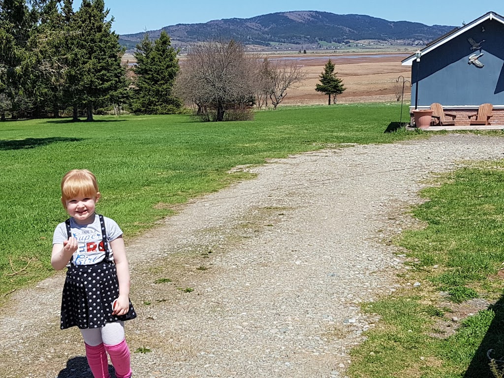 Studio On The Marsh | 255 Marys Point Rd, Harvey, NB E4H 2M8, Canada | Phone: (506) 882-2917