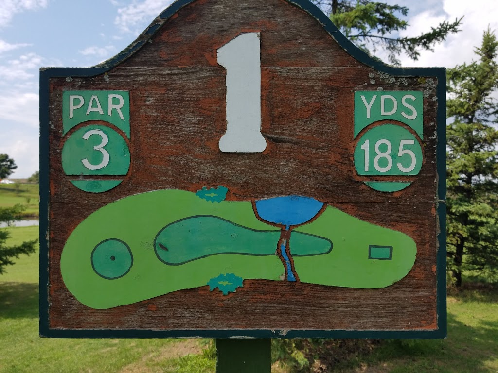 Pros Golf Centre | 22 Green Mountain Rd E, Stoney Creek, ON L8J 2W4, Canada | Phone: (905) 664-6644