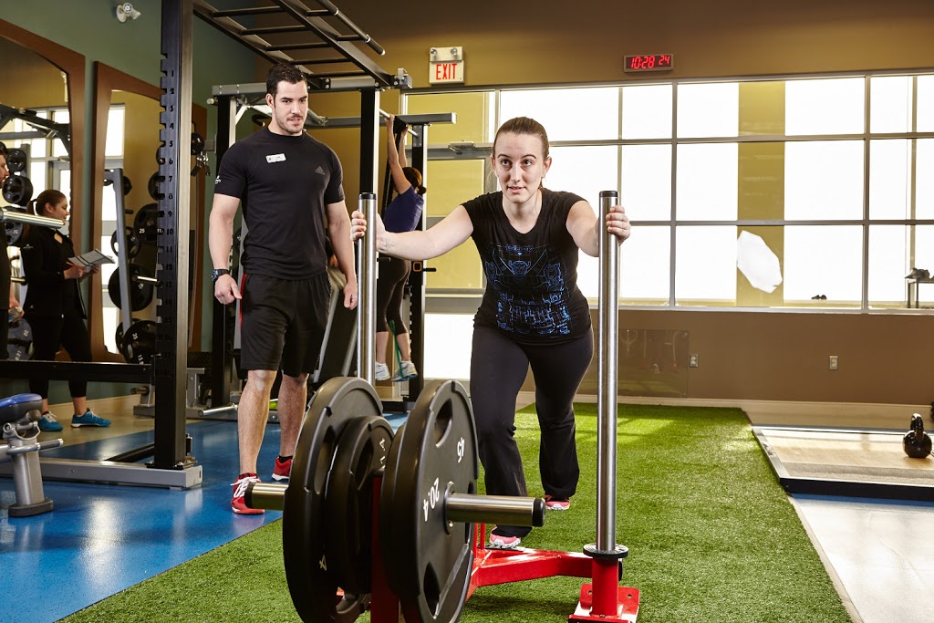 Movati Athletic | 595 West St, Brantford, ON N3R 7C5, Canada | Phone: (519) 756-0123