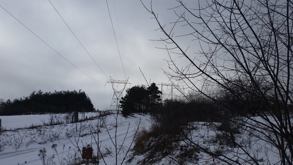 Long Sault Ridge Runners Snowmobile Club Inc The | 320 Sandy Hook Rd, Pontypool, ON L0A 1K0, Canada | Phone: (705) 277-2906