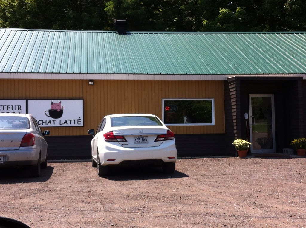 OChat Latté | 1728 QC-335, Saint-Lin - Laurentides, QC J5M 1Y3, Canada | Phone: (450) 439-9683