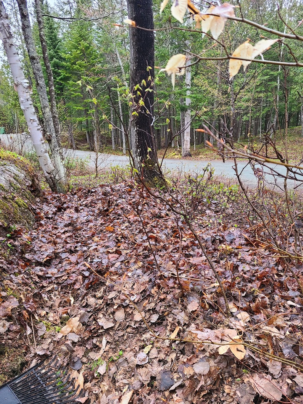 Entretien Saisonnier S.V. | 765 Rue Nelson, Mont-Tremblant, QC J8E 2W1, Canada | Phone: (819) 430-3762